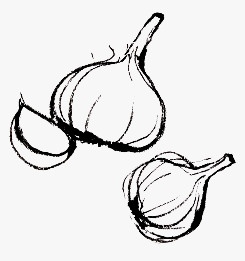 Garlic Clipart Draw - Garlic Draw Png, Transparent Png