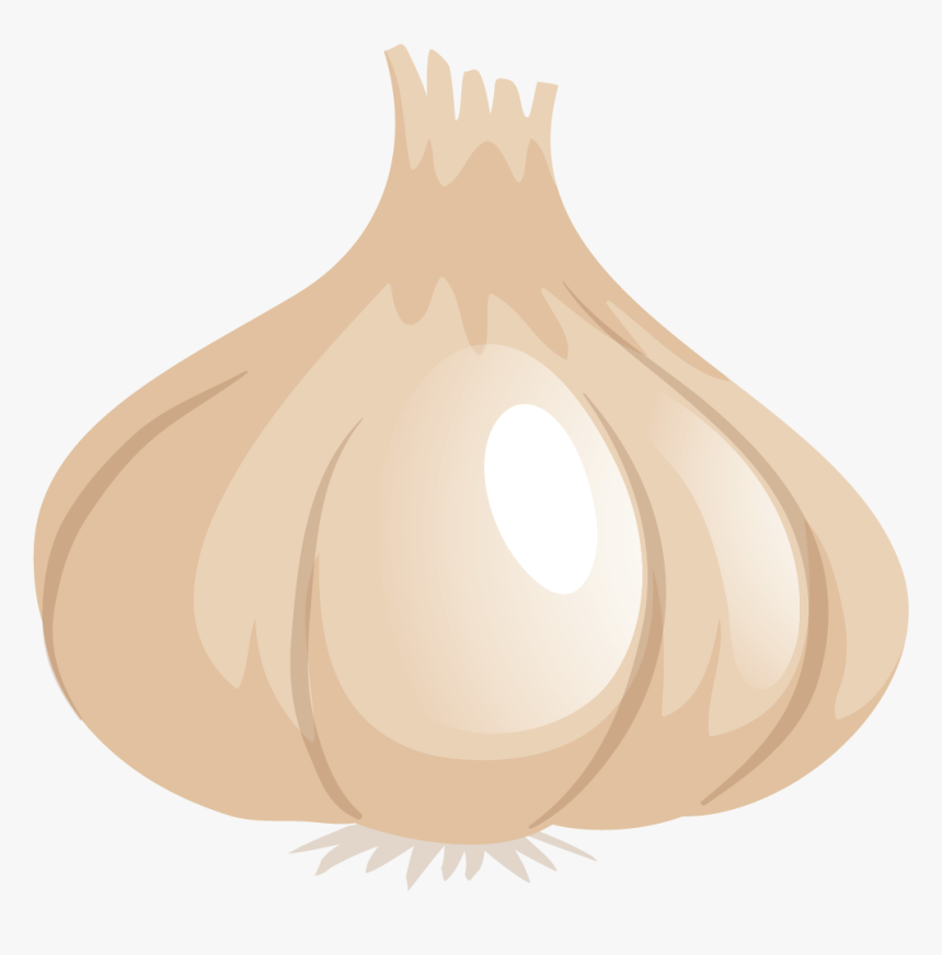 Lampshade, HD Png Download
