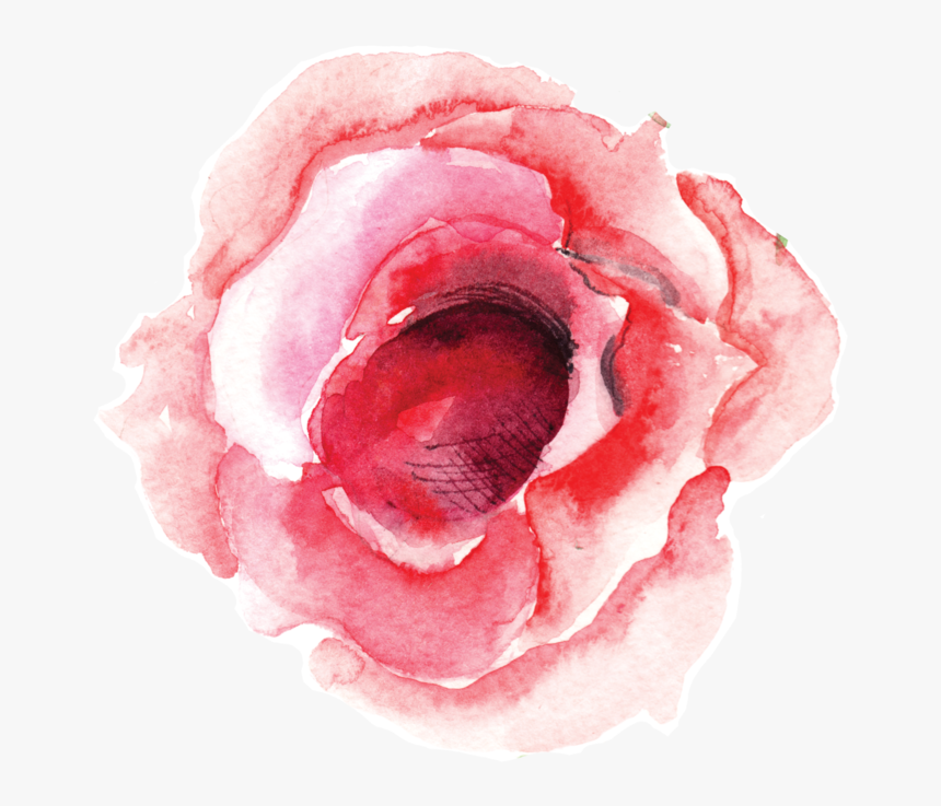 Single Rose Bloom - Png Water Color Single Flower, Transparent Png