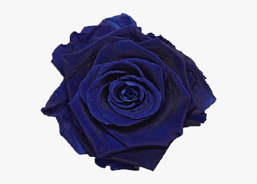 Single Rose Marble Box 
 Class Lazyload Lazyload Fade - Royal Blue Single Rose Png, Transparent Png