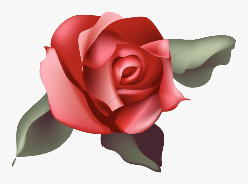 Rose Single Red Blossom Church Clipart Transparent - Red Blossom Rose Clipart, HD Png Download