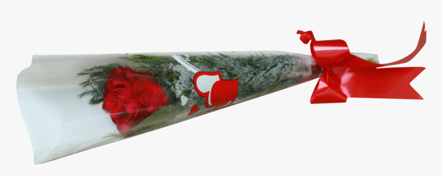Single Rose With Cellophane Cone - Garden Roses, HD Png Download