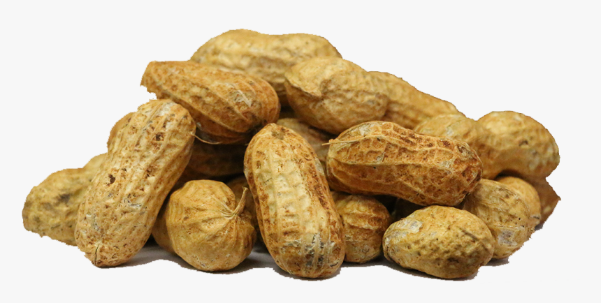 Peanut Vegetable Farm Pune - Free Photo Nut Transparent Background, HD Png Download