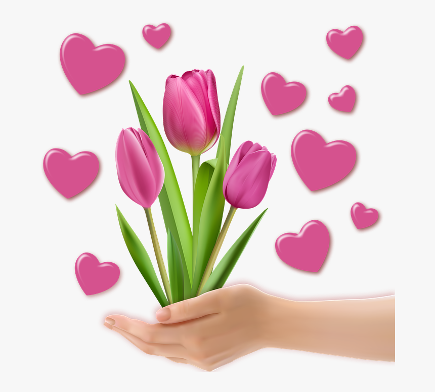 Heart Hands Png - Tulip, Transparent Png