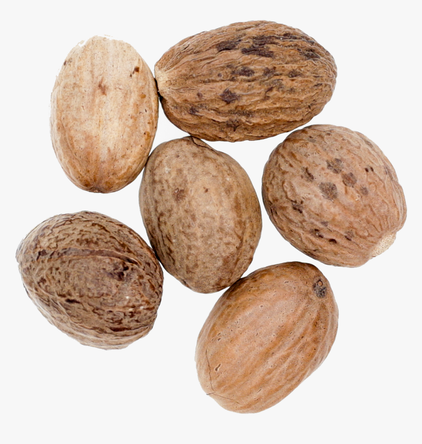 Transparent Nutmeg Png - Nut, Png Download