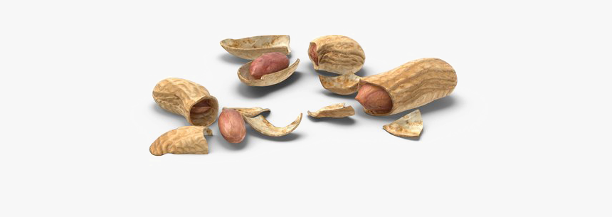 Peanut Download Png Image - Shell Peanut Psd, Transparent Png