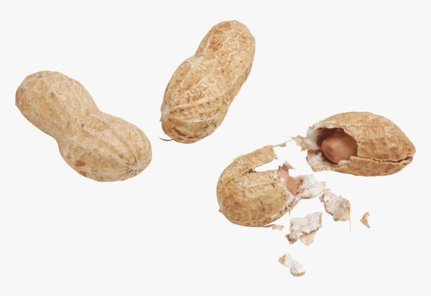 Peanut Png - Арахис Png, Transparent Png