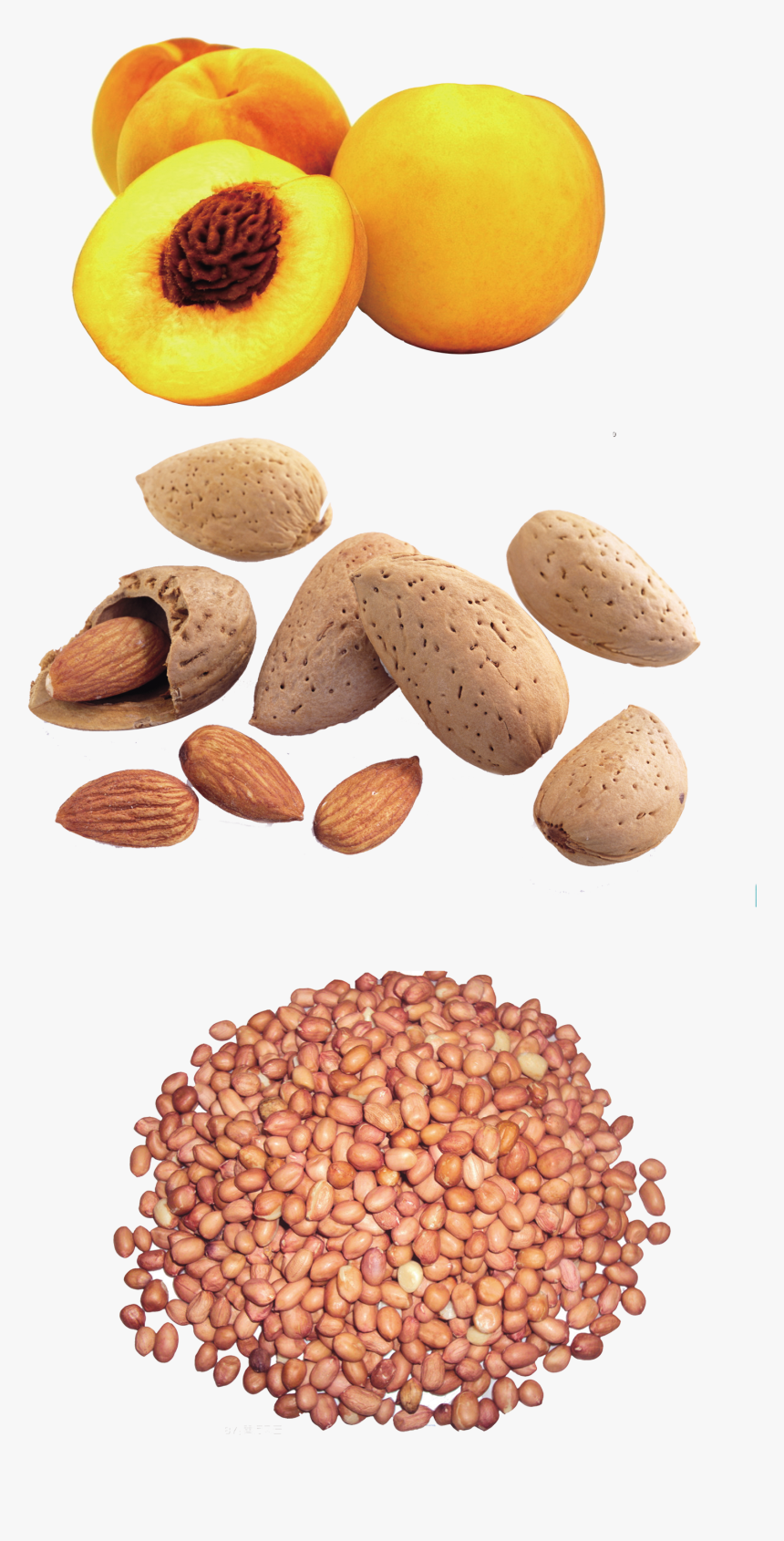 Peanut Yellow Peach Dried Fruit Snack Design Pattern - Any Two Oil Seeds, HD Png Download