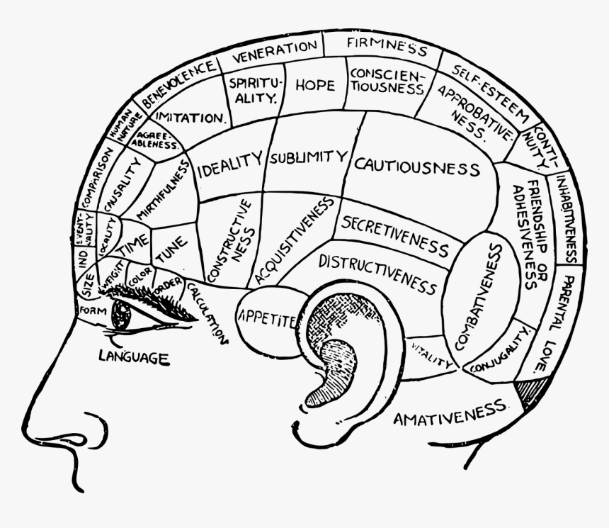Inside The Brain Drawing, HD Png Download