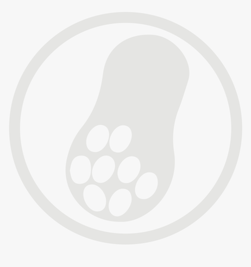 Peanut Allergy Grey Icon - Peanut Allergy Png White Icon, Transparent Png