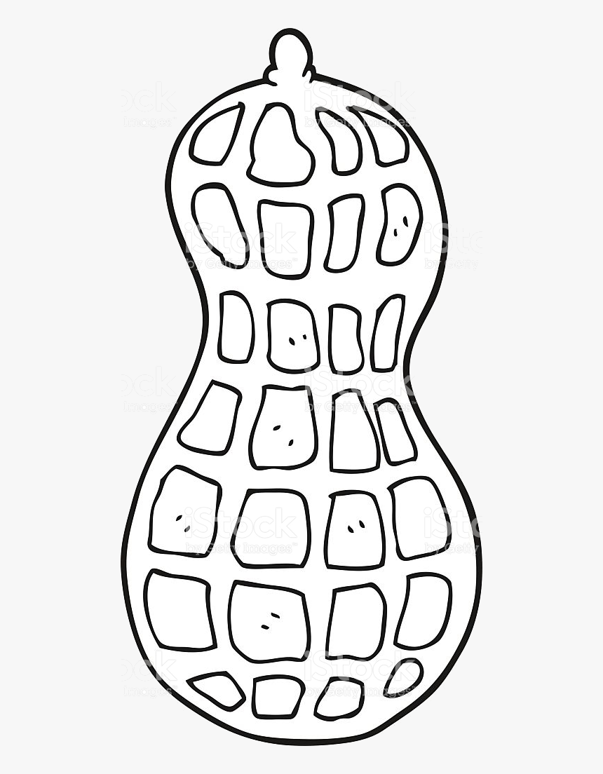 Peanut Clipart Black And White Transparent Png - Peanut Black And White