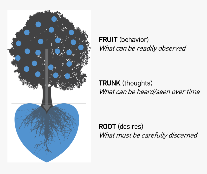 Harvest Tree Heart Diagram - Circle, HD Png Download
