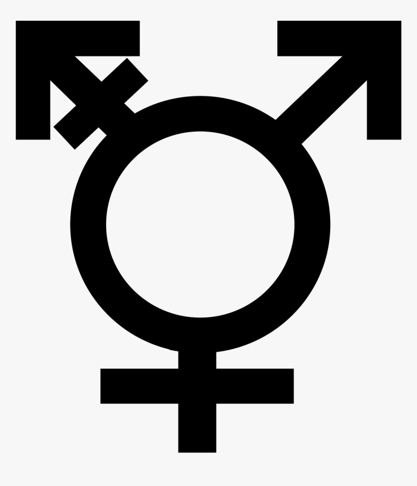Psychology Of Gender - Lgbt Bisexual Symbol, HD Png Download
