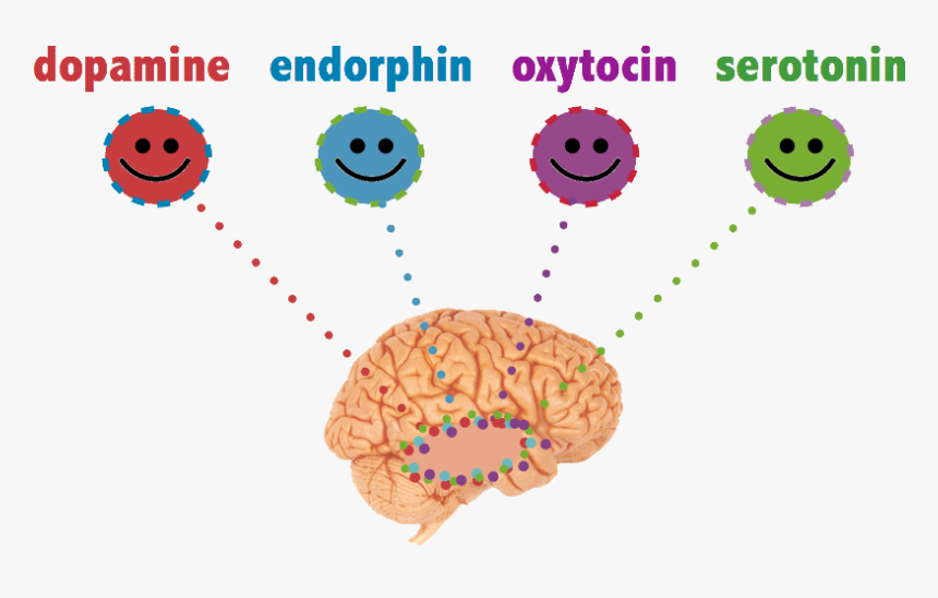 Happy-chemicals - Chemical In The Brain, HD Png Download