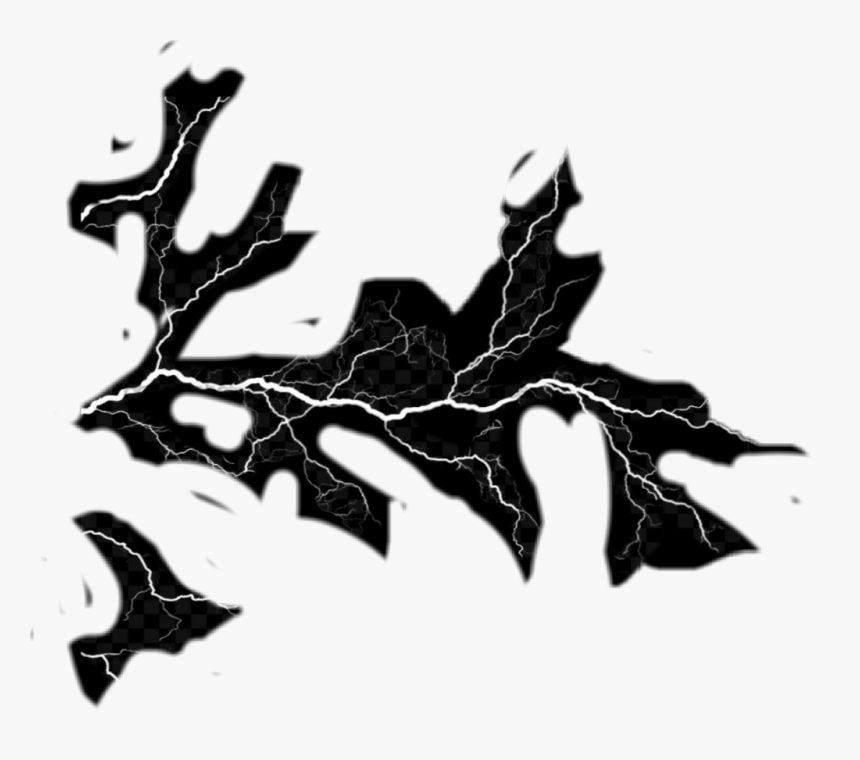 Black Oak, HD Png Download