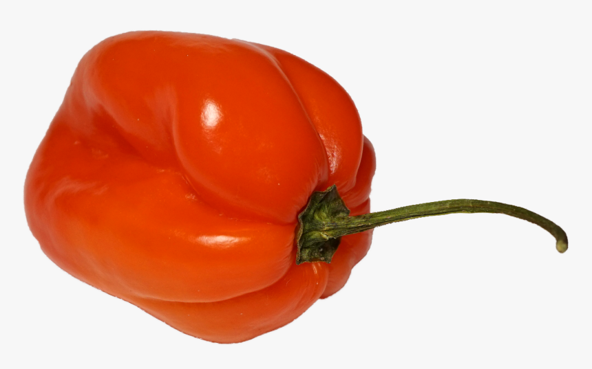 Habanero Chili Png - Habanero Png, Transparent Png