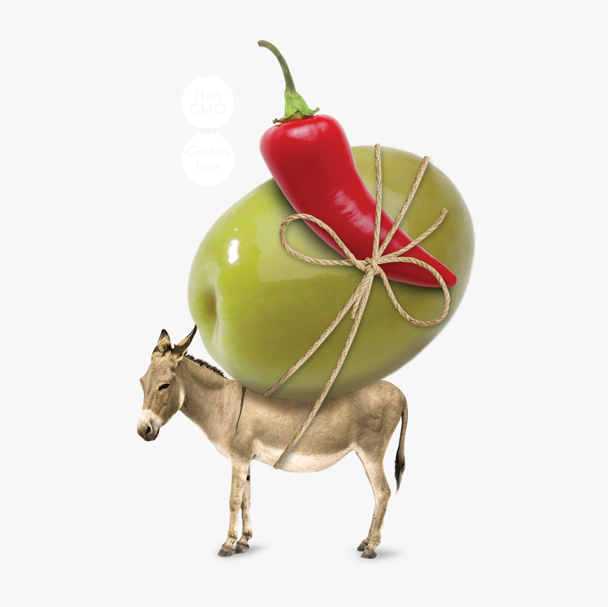 Donkey With White Background, HD Png Download