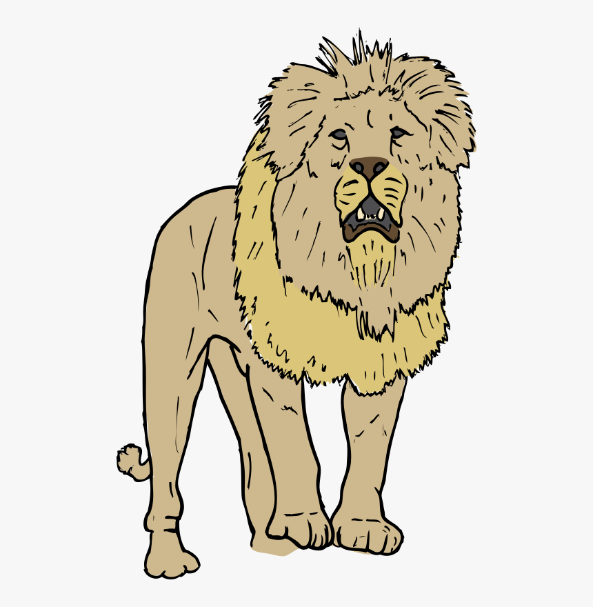 Lion Clip Art, HD Png Download
