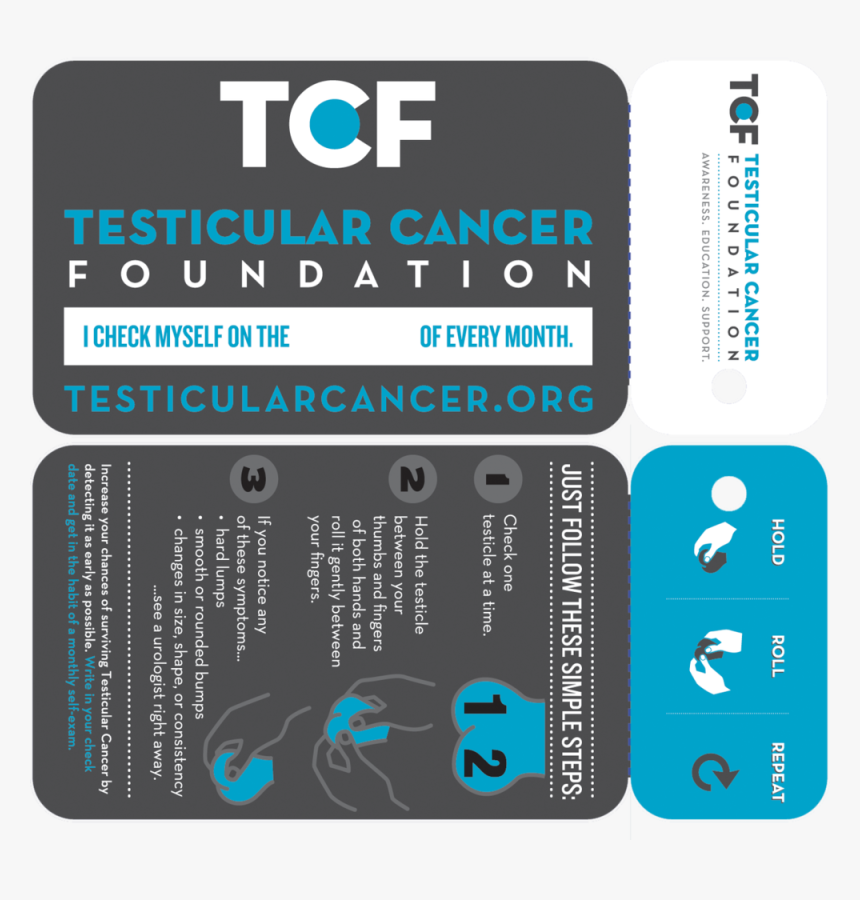 Tcfselfcheckcard - Testicular Cancer Foundation, HD Png Download