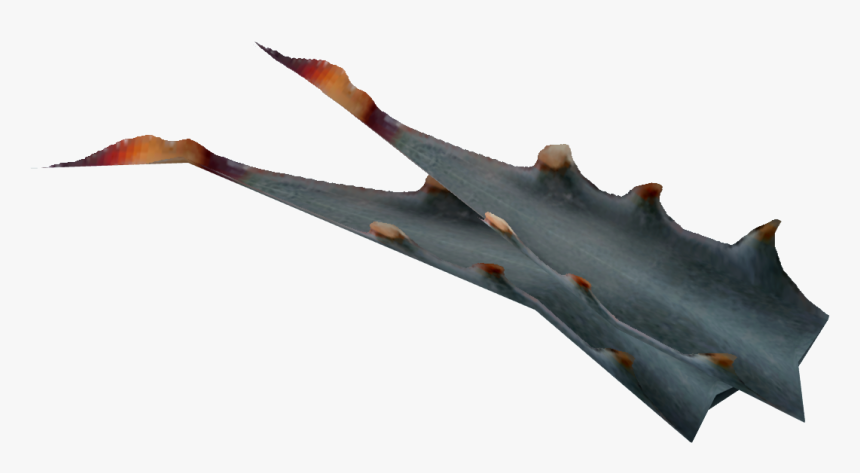 Nevadaagavefruit-nobg - Driftwood, HD Png Download