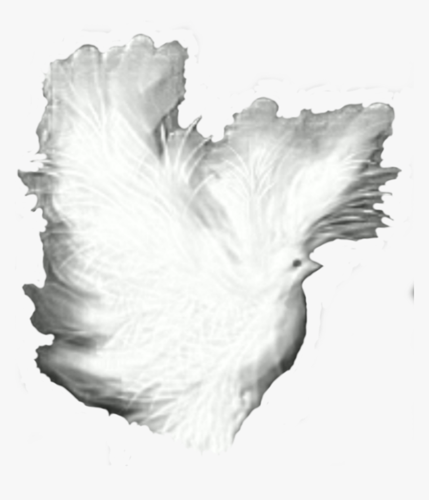 Dove Fantasy White Shadows Clip Arts - Portable Network Graphics, HD Png Download