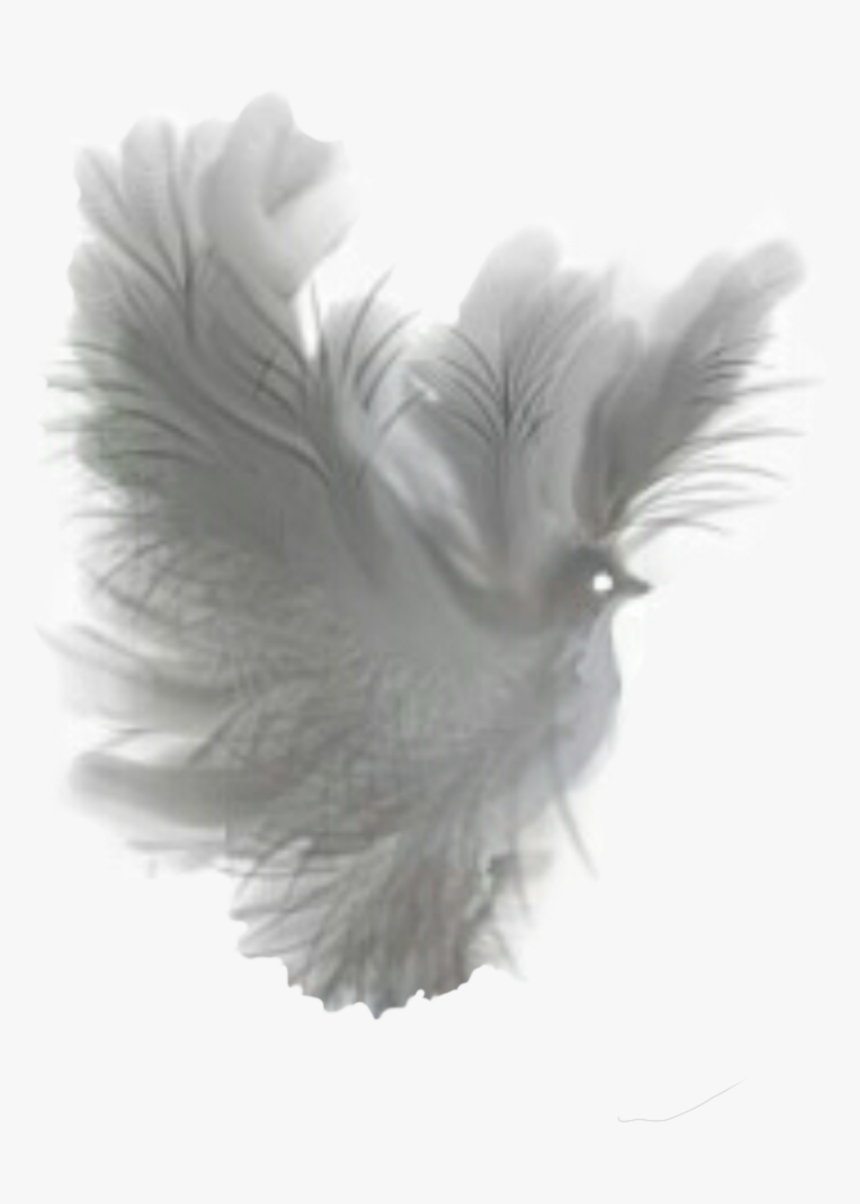 Dove Fantasy White Translucent Clip Arts - Dove Fantasy Png, Transparent Png