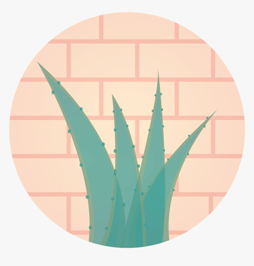 Aloe Vera A Miracle For Health - Agave, HD Png Download