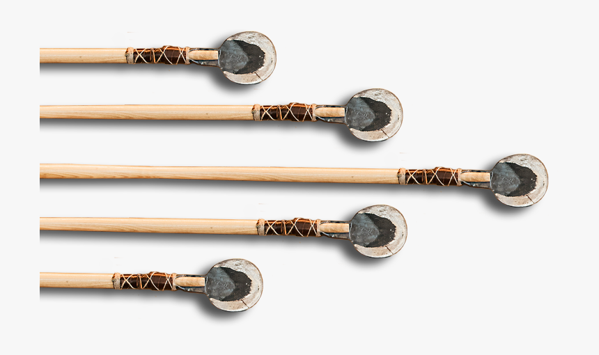 Coa - Earrings, HD Png Download