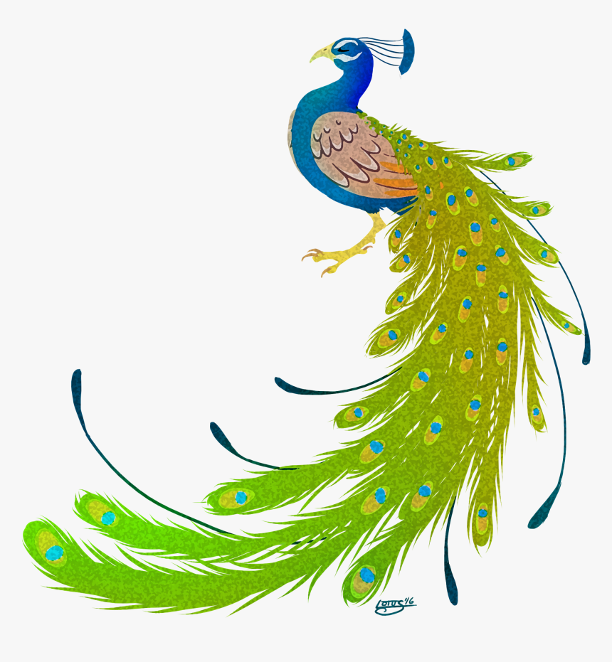 Transparent Peacock Png - Peacock Images Hd Png, Png Download