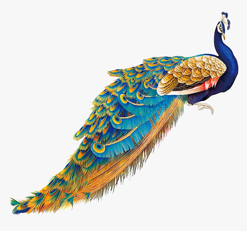 peacock png transparent png transparent png image pngitem peacock png transparent png