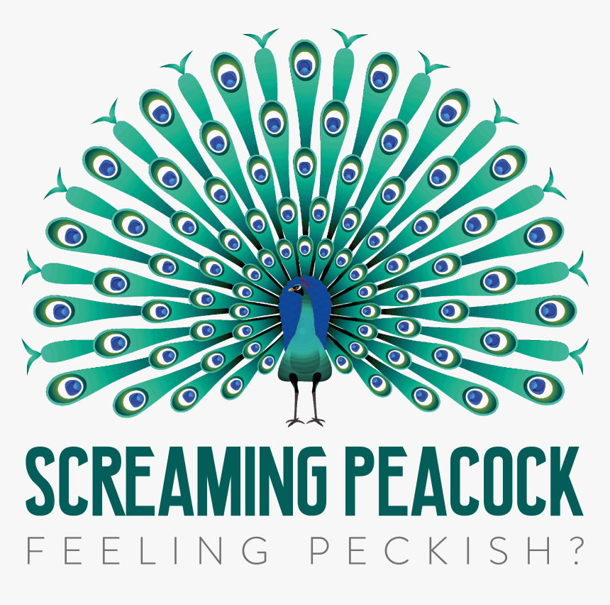 Screaming Peacock - Png Peacock Drawing Vector, Transparent Png