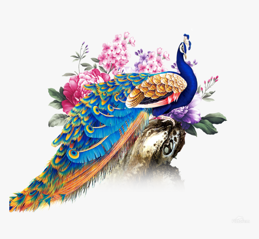 China Wind Peacock Print - Peacock Png, Transparent Png