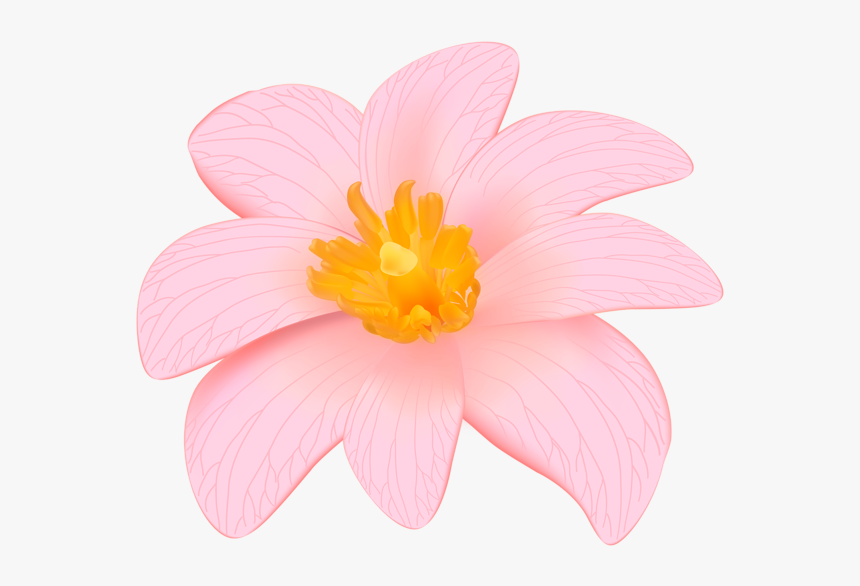 Exotic Pink Flower Clip Art Png Image Flower Designes - Lily, Transparent Png