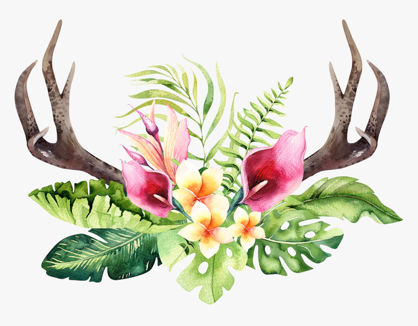 Transparent Floral Antler Clipart - Watercolor Tropical Flowers Png, Png Download