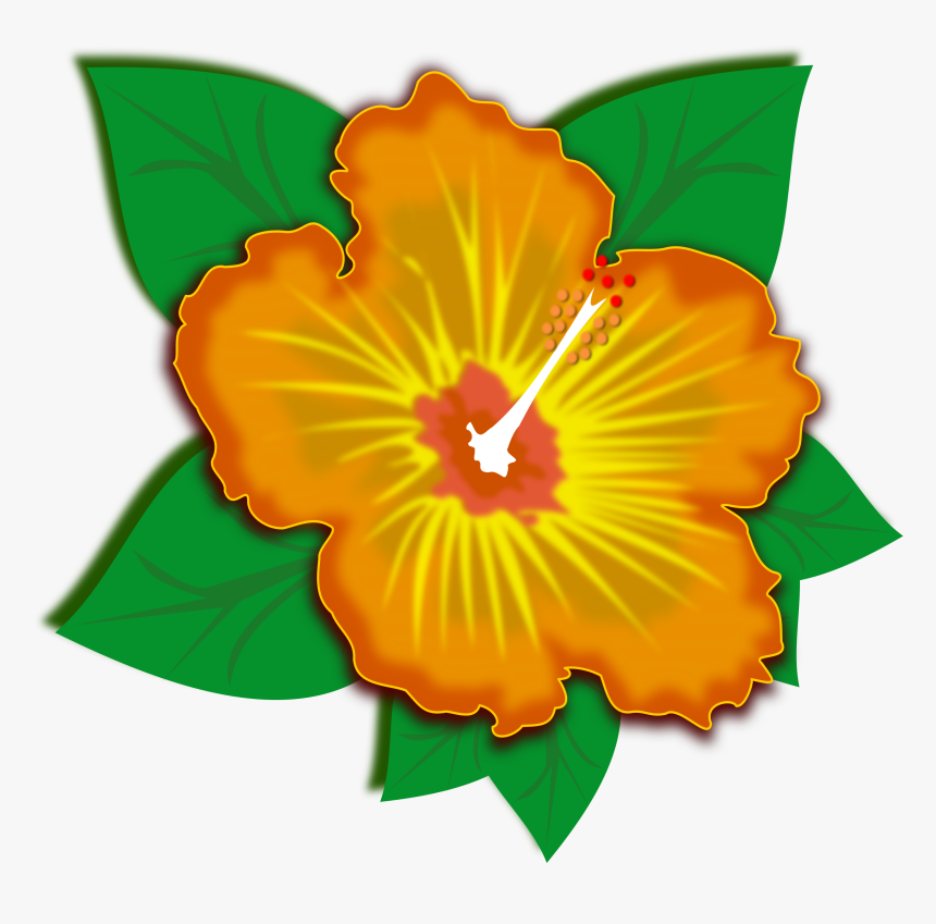 Hibiscus,plant,flower - ภาพ ตัด ปะ สวย ๆ, HD Png Download