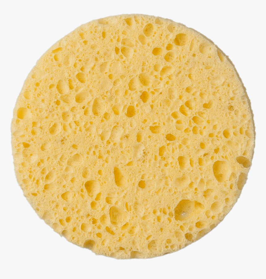 Round Sponge - Sponge .png, Transparent Png