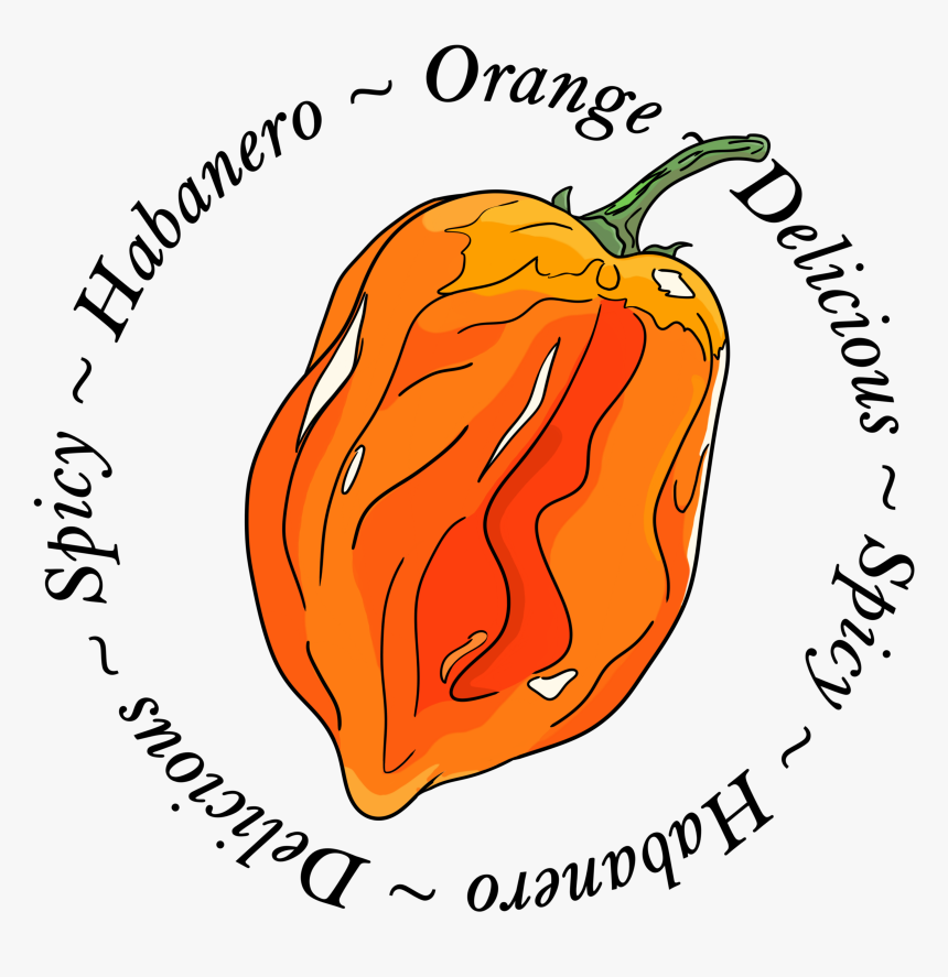 Transparent Hot Pepper Clipart - Pumpkin, HD Png Download