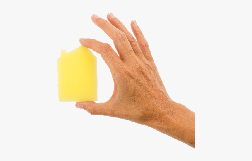 Tan, HD Png Download