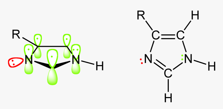 Imidazoles Pi Orbitals 2d - Orbital Picture Of Imidazole, HD Png Download