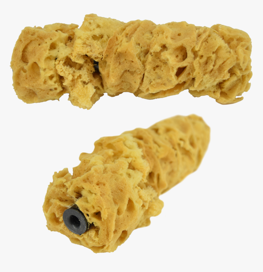 Sea Sponge Roller, HD Png Download