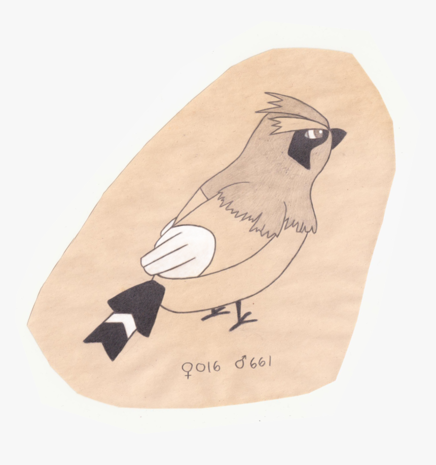 Tiny Bird Pokemon - Perching Bird, HD Png Download