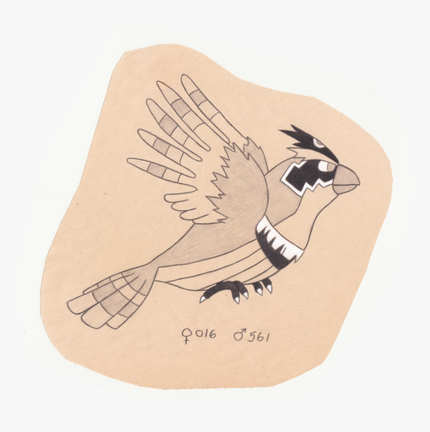 Tiny Bird Pokemon - Illustration, HD Png Download