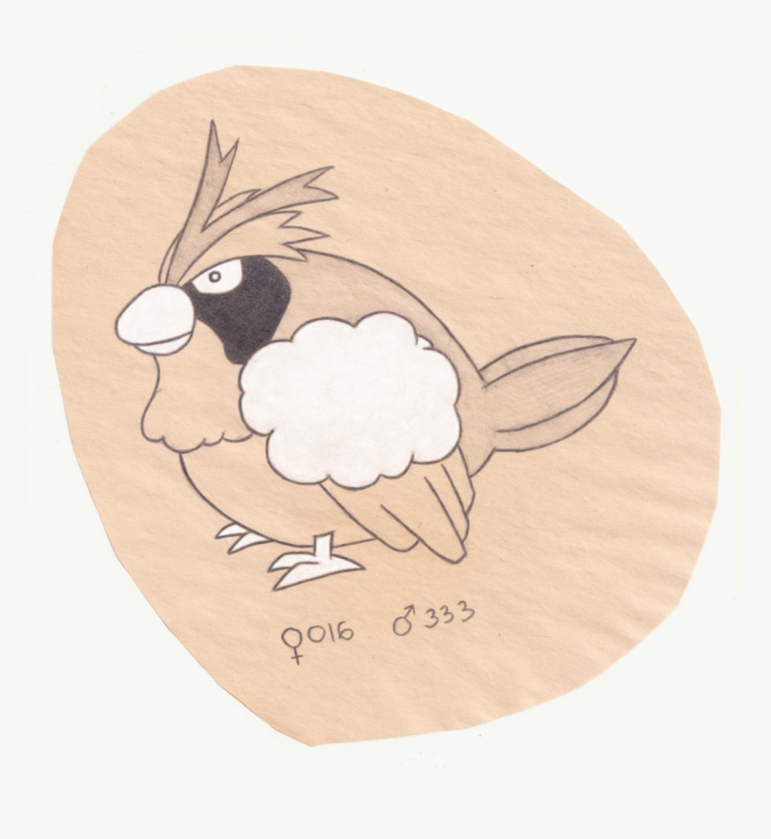 Tiny Bird Pokemon - Illustration, HD Png Download