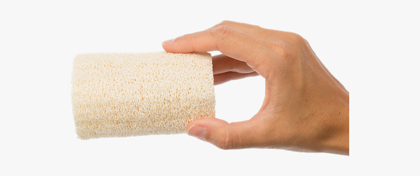 Carpet, HD Png Download