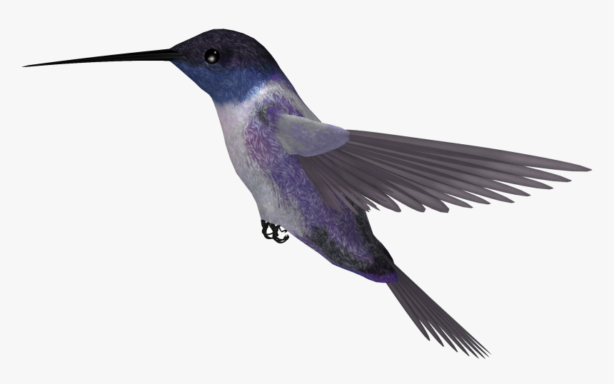 Download Hummingbird Png Picture - Hummingbirds Png, Transparent Png