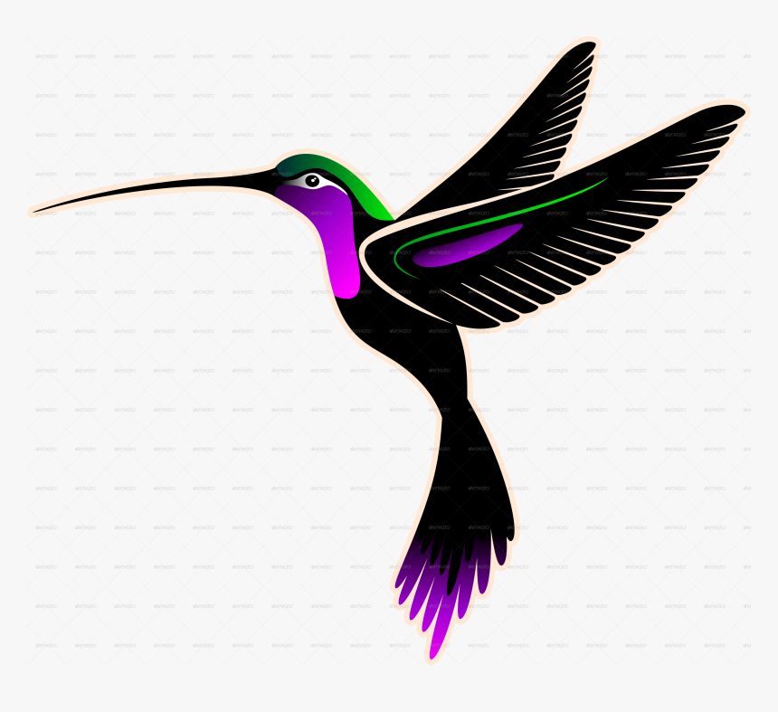 Transparent Hummingbirds Clip Art, HD Png Download