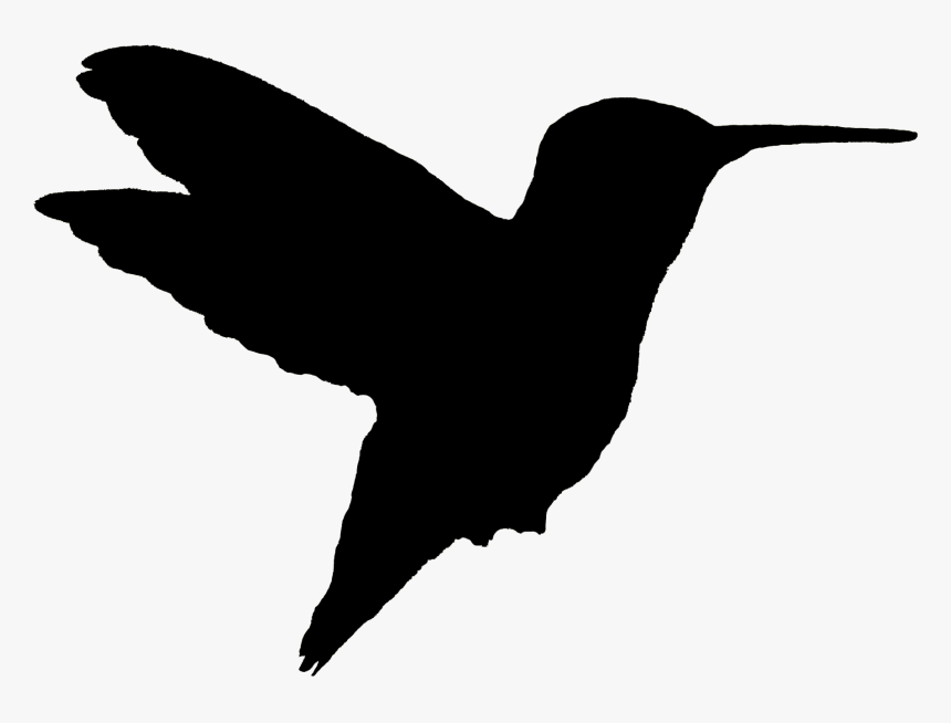 Ruby Throated Hummingbird Flying Kjm2735 10 Silhouette - Ruby Throated Hummingbird Silhouette, HD Png Download