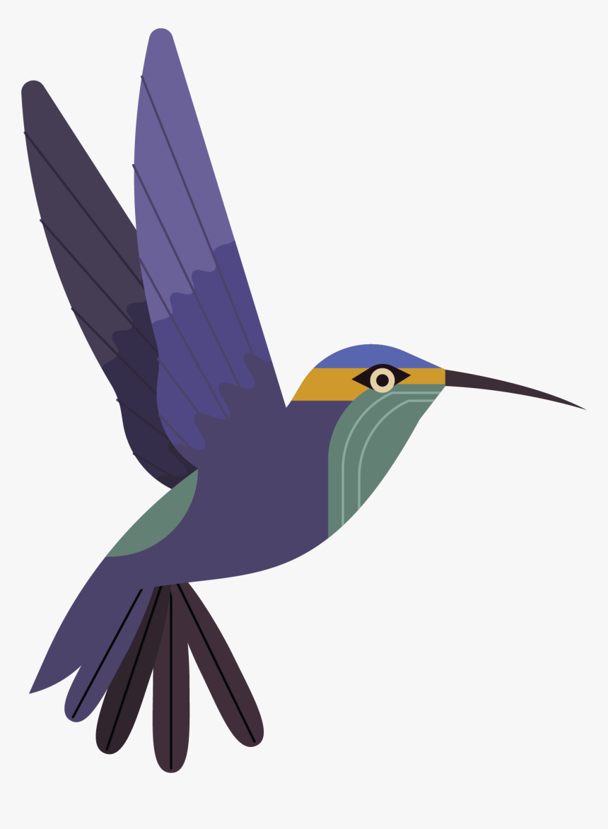 Hummingbird, HD Png Download