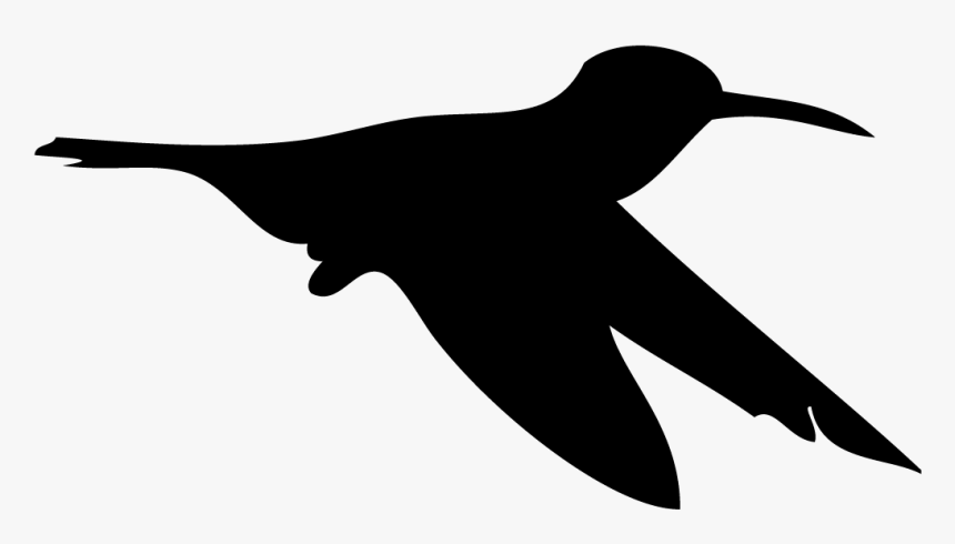 Allen S Hummingbird Overview, All About Birds, Cornell - Broad Tailed Hummingbird Silhouette, HD Png Download