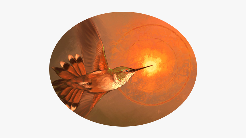 Carolina Wren, HD Png Download